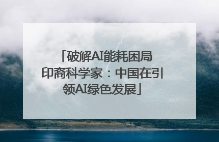 破解AI能耗困局 印裔科学家：中国在引领AI绿色发展